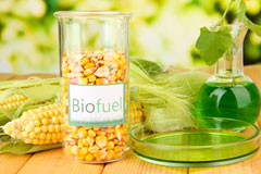 Stud Green biofuel availability