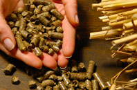 free Stud Green biomass boiler quotes